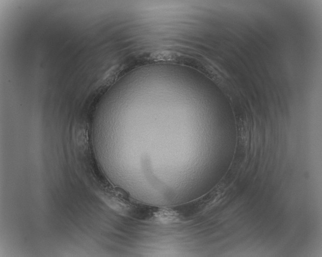 X0000062140603200512231507