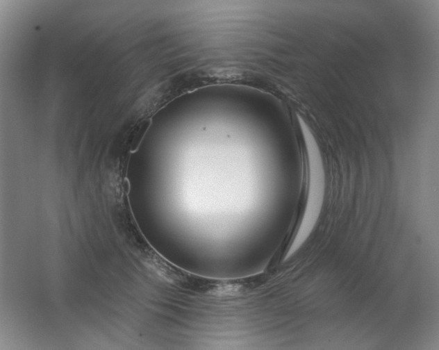 X0000062140609200512231507