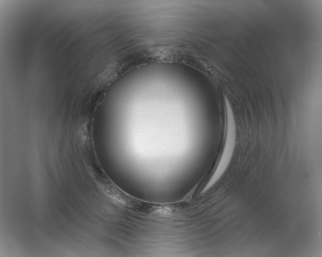 X0000062140611200512231507