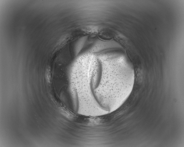 X0000062140612200512231507