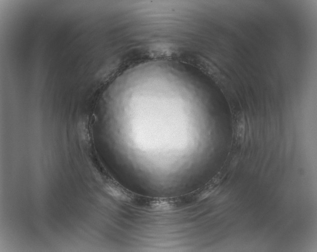 X0000062140616200512231507