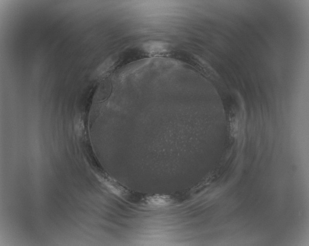 X0000062140618200512231507