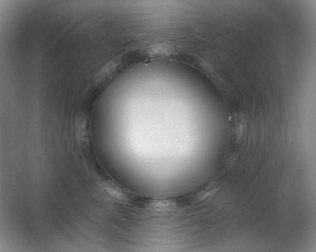 X0000062140619200512231507