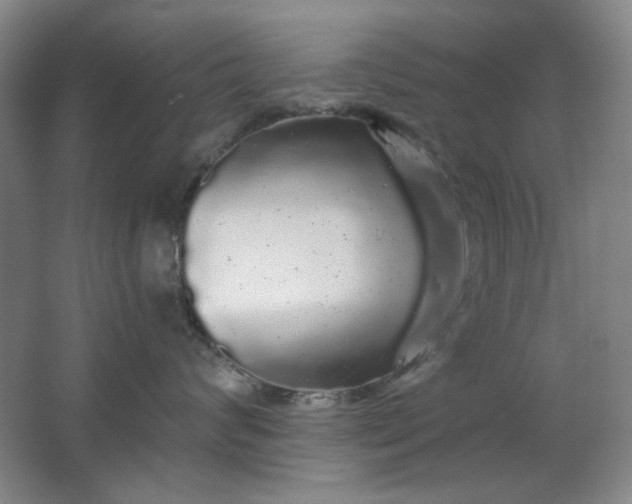 X0000062140624200512231506