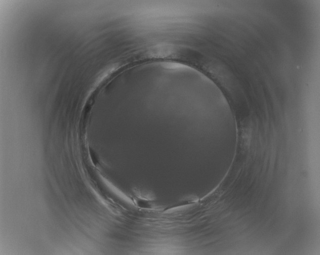 X0000062140626200512231506