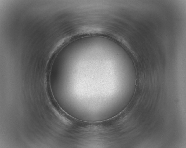 X0000062140629200512231506