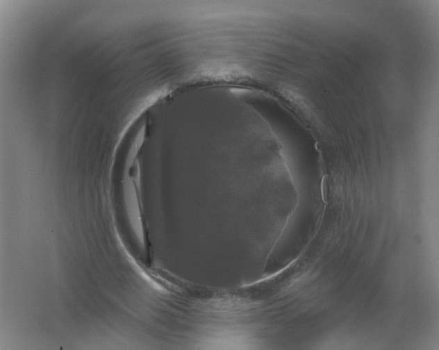 X0000062140630200512231506