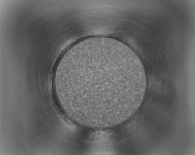 X0000062140632200512231506