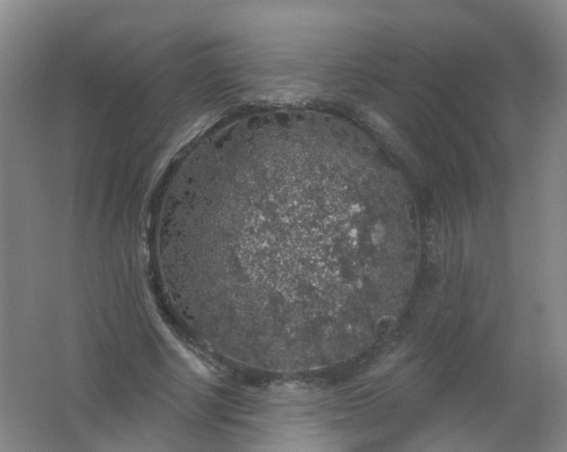 X0000062140634200512231506