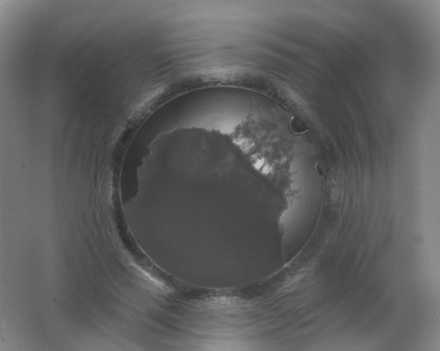 X0000062140637200512231506