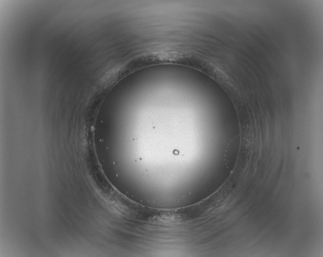 X0000062140639200512231506