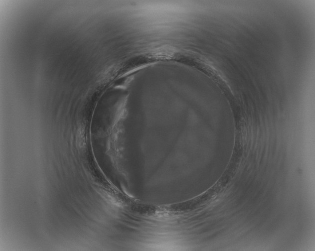 X0000062140641200512231506