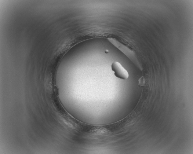 X0000062140642200512231506