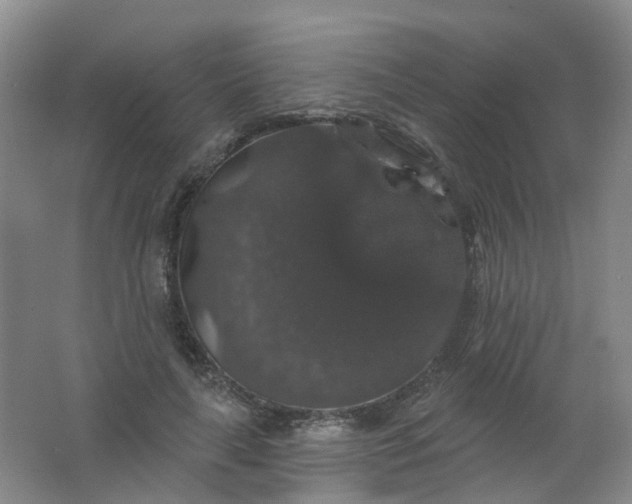 X0000062140643200512231506