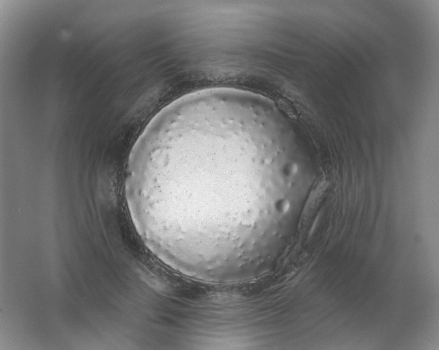 X0000062140644200512231506