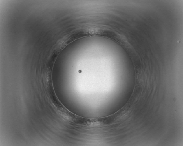 X0000062140645200512231506