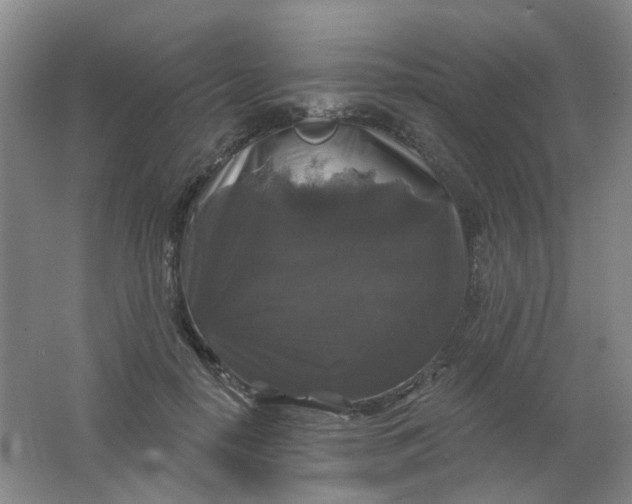 X0000062140650200512231506