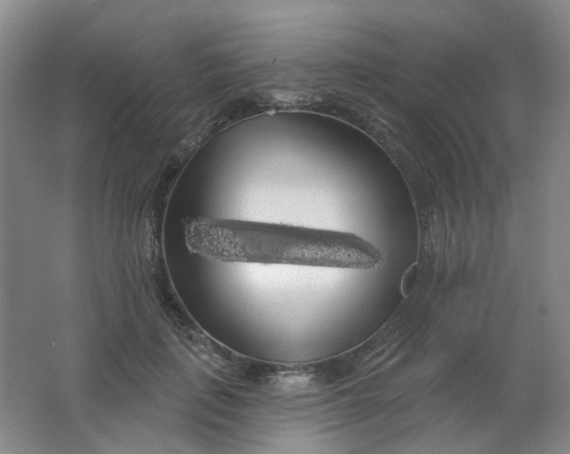 X0000062140651200512231506