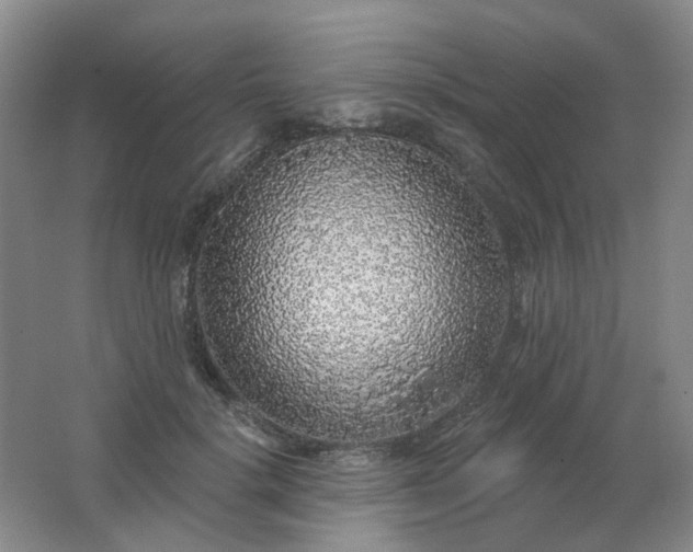 X0000062140652200512231506