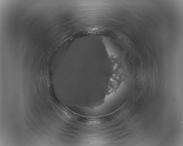 X0000062140653200512231506