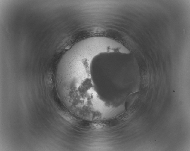 X0000062140654200512231506