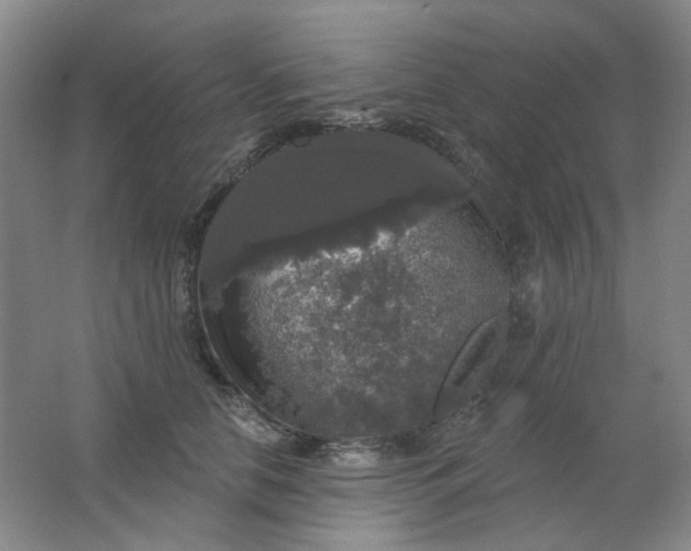 X0000062140658200512231506