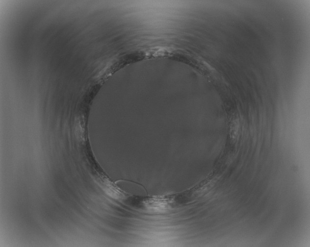 X0000062140661200512231506