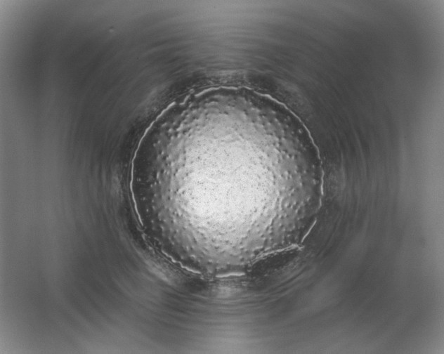 X0000062140662200512231506