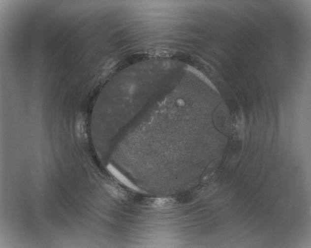 X0000062140663200512231506