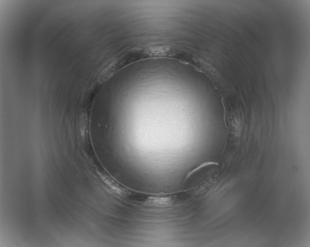 X0000062140665200512231506