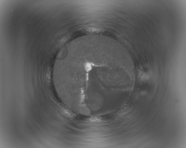 X0000062140668200512231506