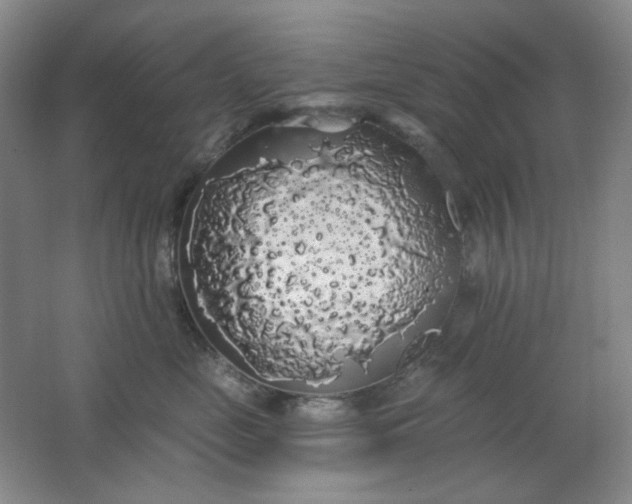 X0000062140669200512231506