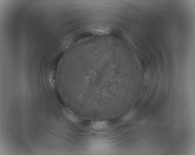 X0000062140671200512231506