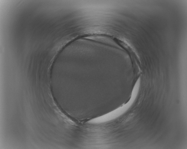 X0000062140673200512231506