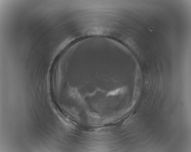 X0000062140678200512231505