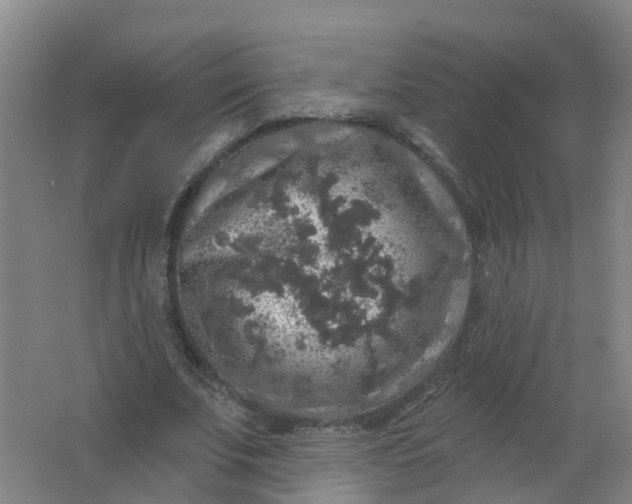 X0000062140679200512231505