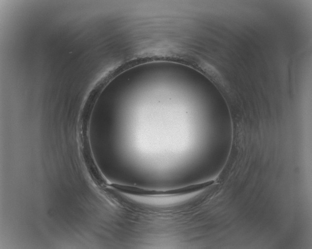 X0000062140680200512231505