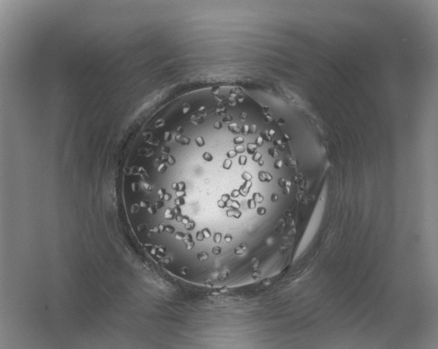 X0000062140681200512231505