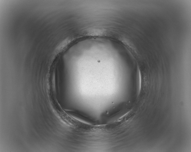 X0000062140682200512231505