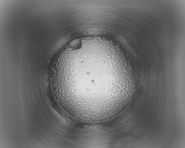 X0000062140683200512231505