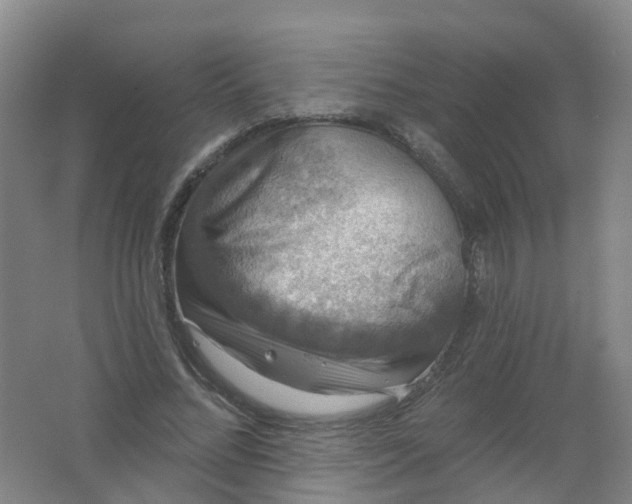 X0000062140684200512231505