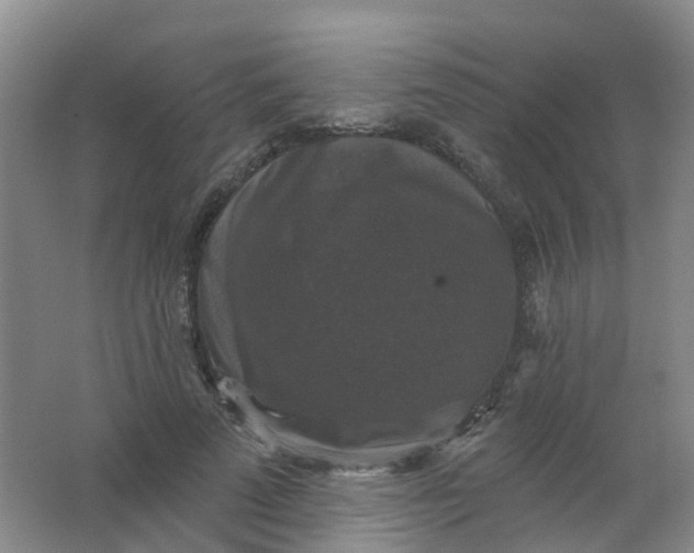 X0000062140689200512231505