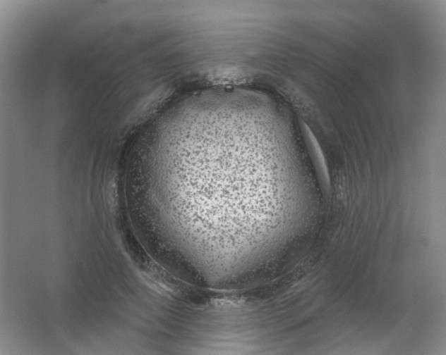 X0000062140690200512231505