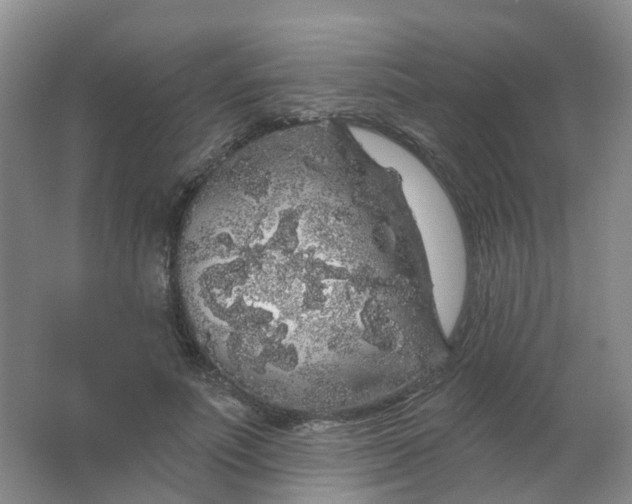 X0000062140691200512231505