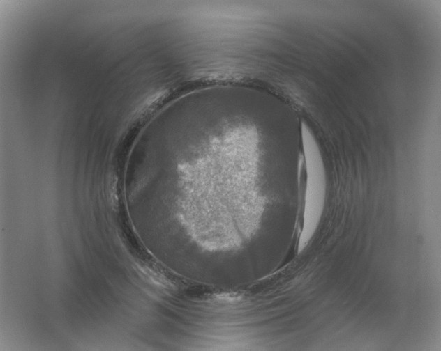 X0000062140692200512231505