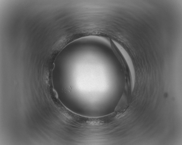 X0000062140693200512231505