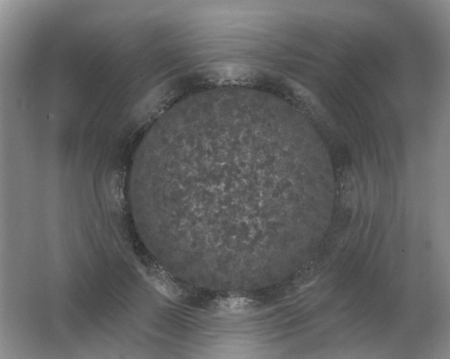 X0000062140695200512231505