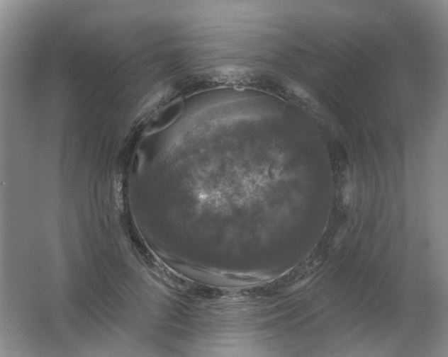 X0000062140696200512231505