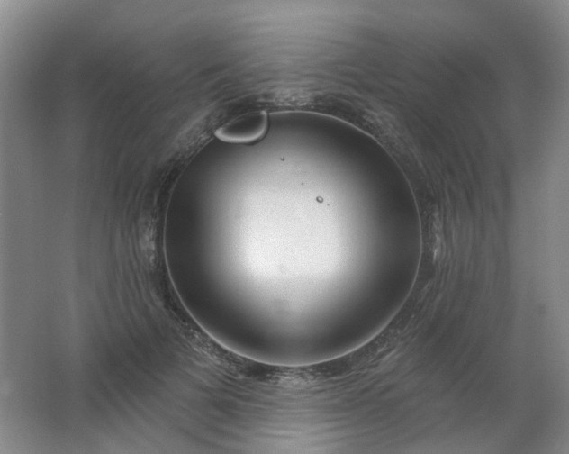 X0000062140697200512231505