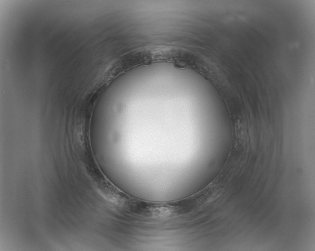 X0000062140698200512231505